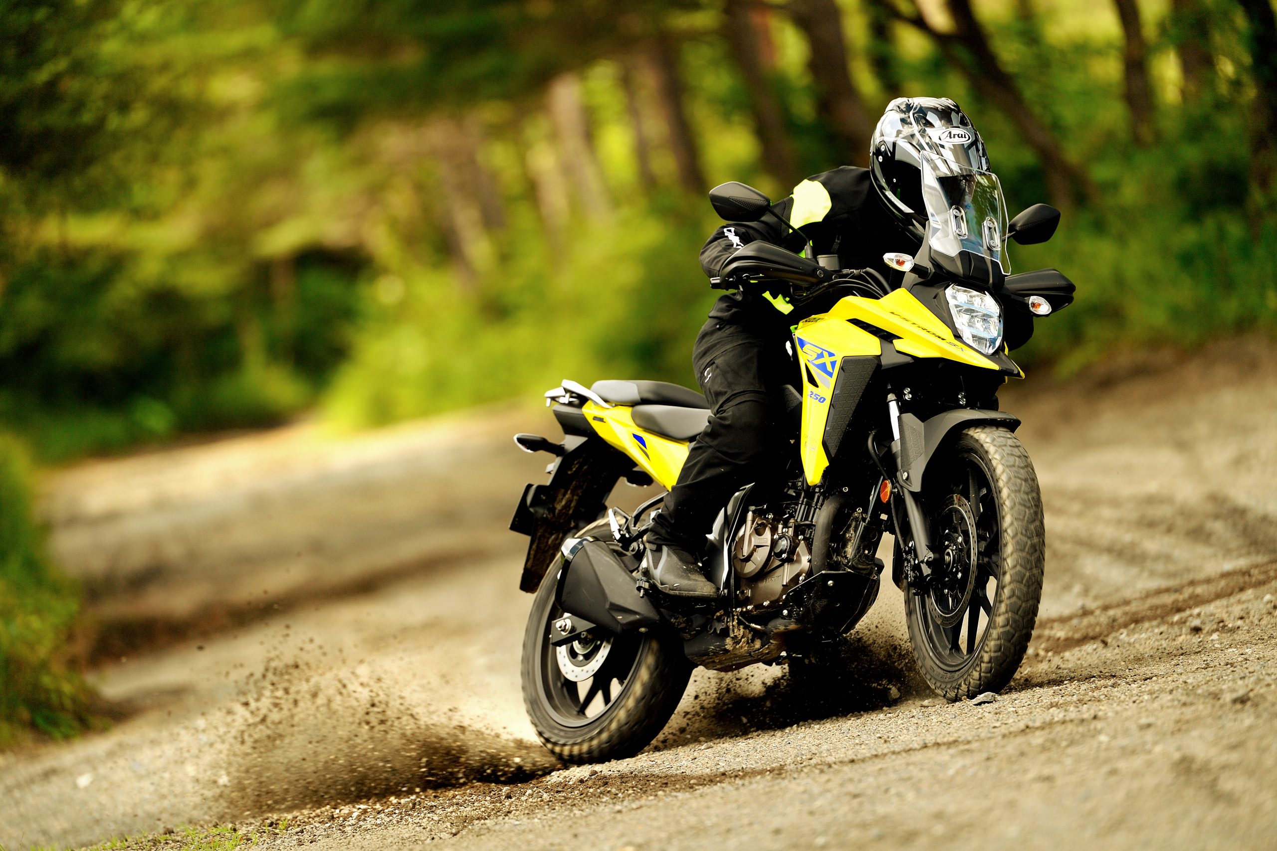V-STROM_250SX drive