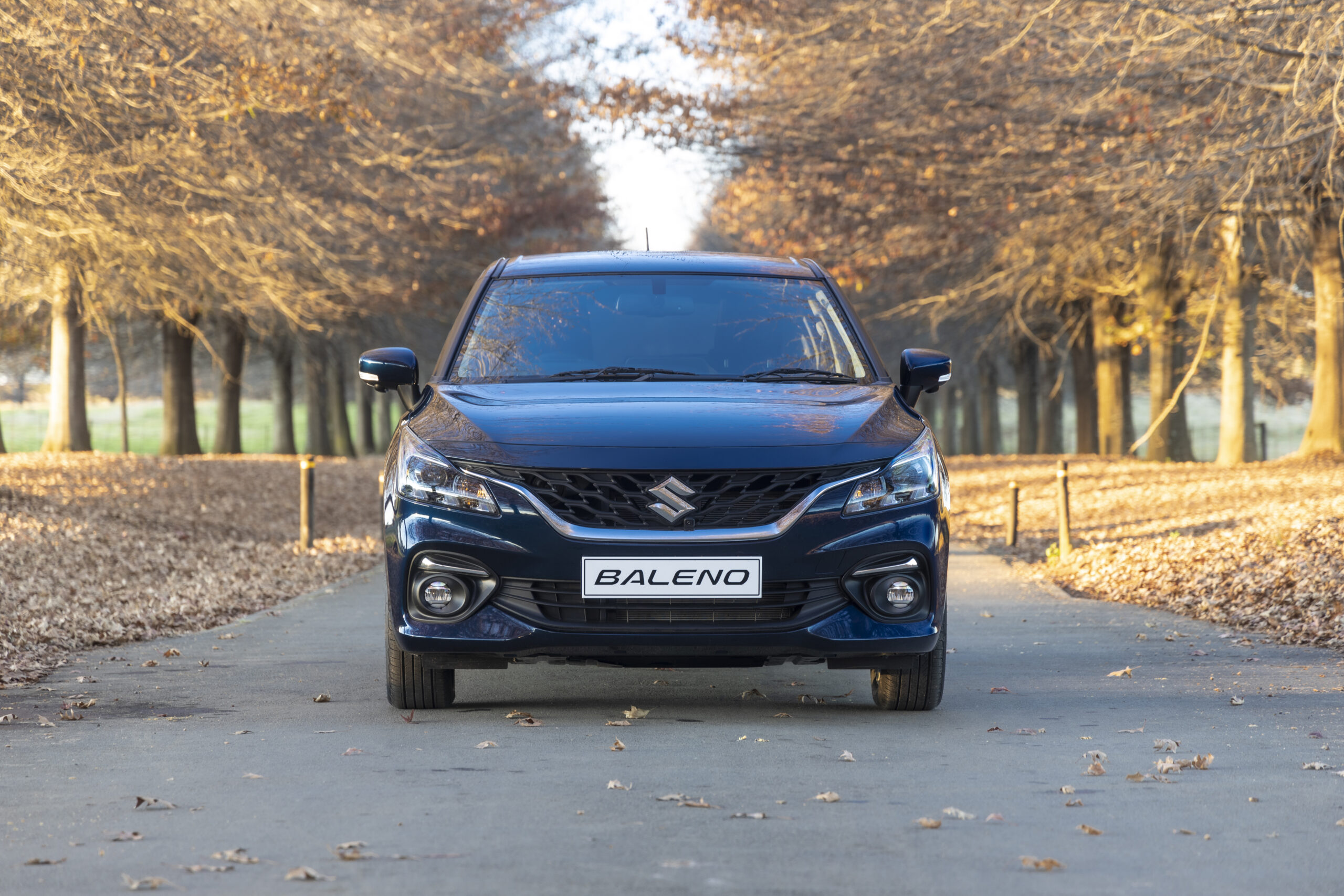 Suzuki Baleno-7803